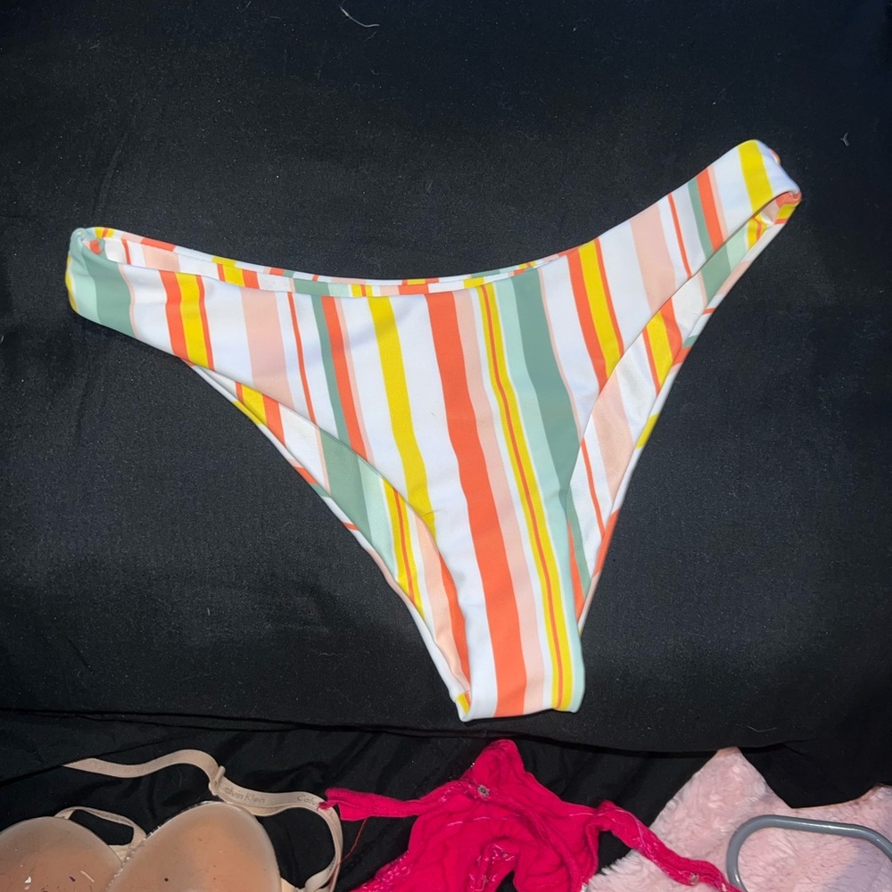 Striped Multicolor Bikini Bottom - Picture 4 of 4